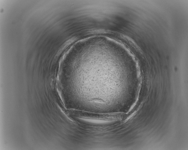 X0000071861225200607141807