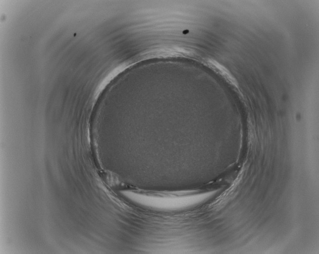 X0000071861226200607141807