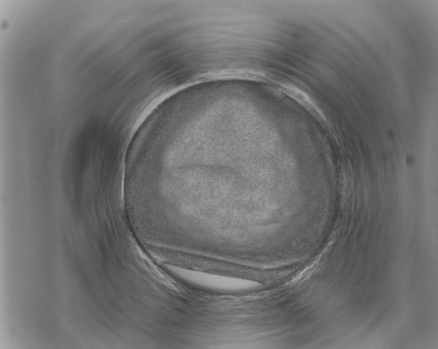 X0000071861228200607141807