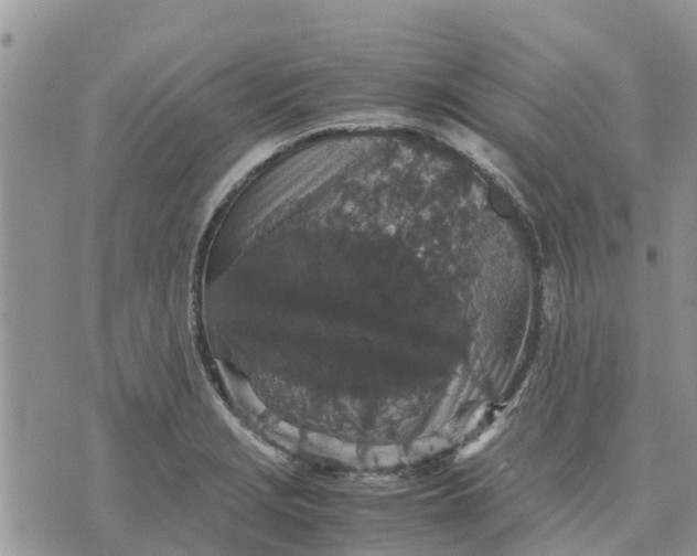 X0000071861229200607141807