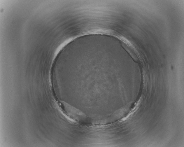 X0000071861230200607141807