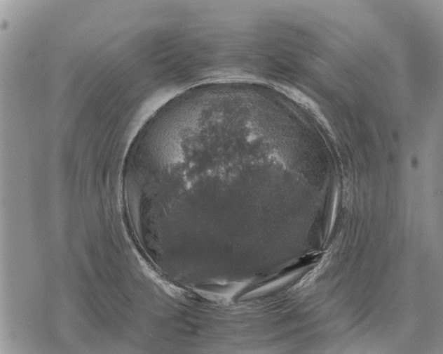 X0000071861231200607141807