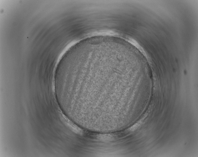 X0000071861232200607141807