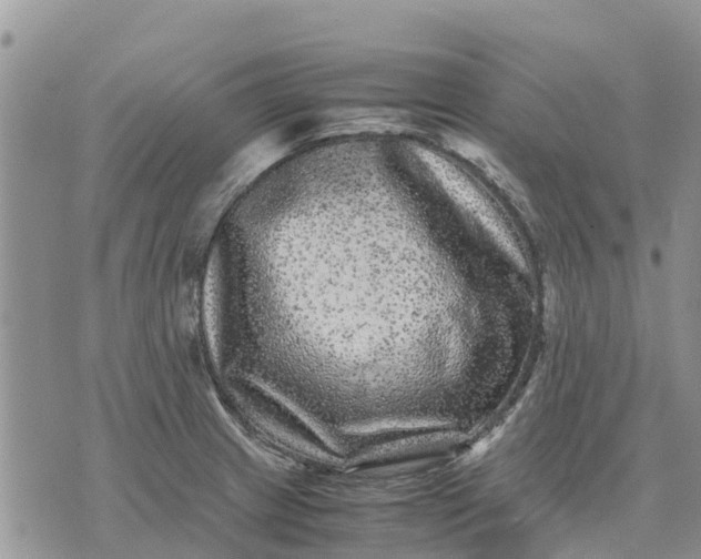 X0000071861233200607141807