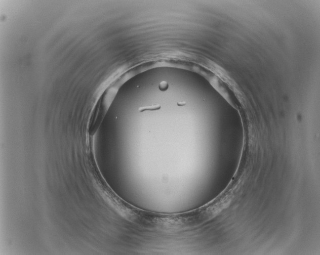 X0000071861234200607141807