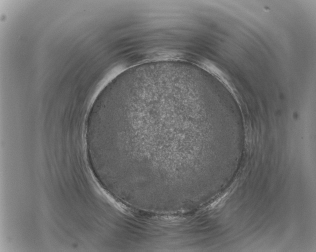 X0000071861235200607141807