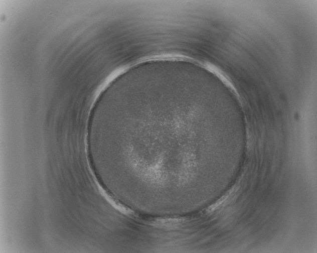 X0000071861237200607141807