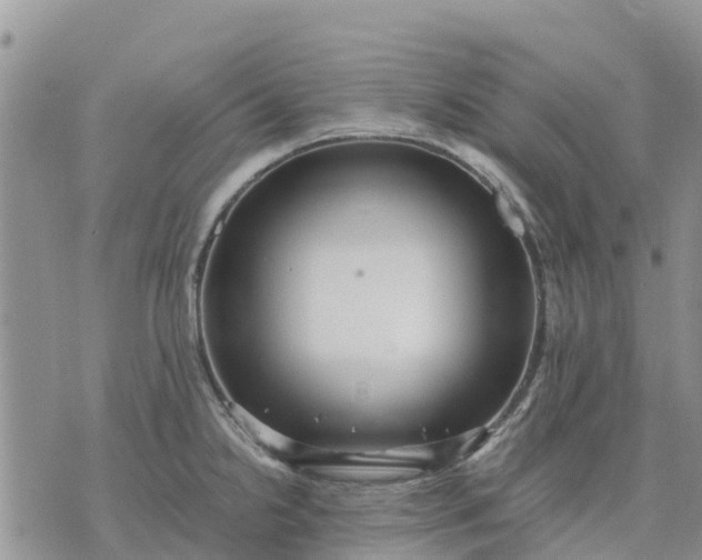 X0000071861238200607141807