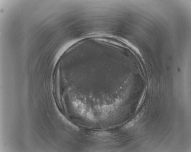 X0000071861239200607141807