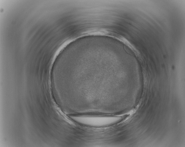 X0000071861240200607141807