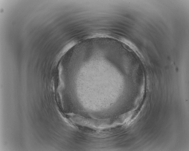 X0000071861241200607141807