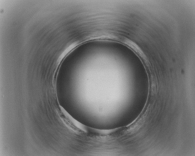 X0000071861242200607141807