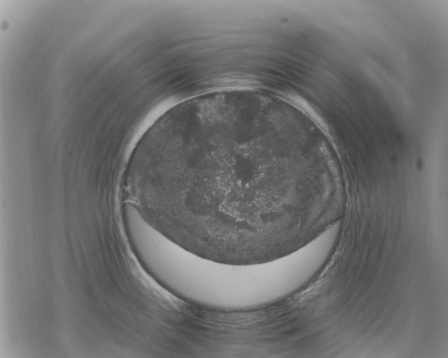 X0000071861243200607141807