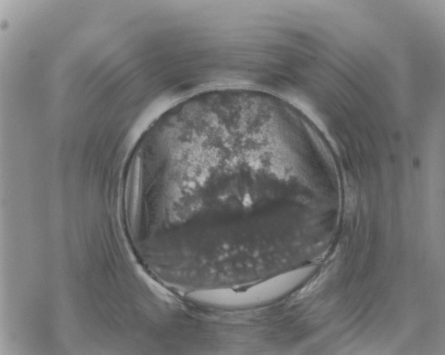 X0000071861245200607141807