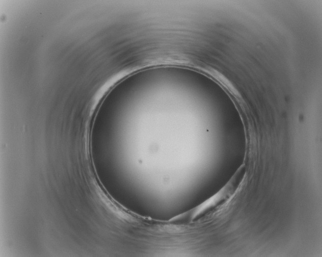 X0000071861246200607141807