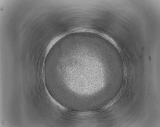 X0000071861247200607141807