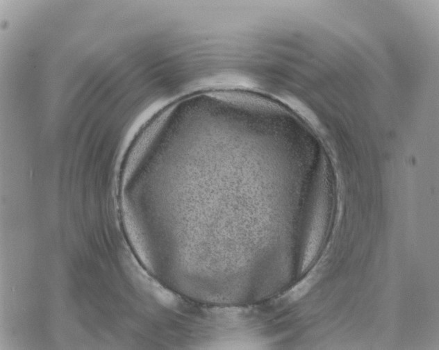 X0000071861248200607141807