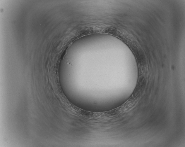 X0000071861249200607141806