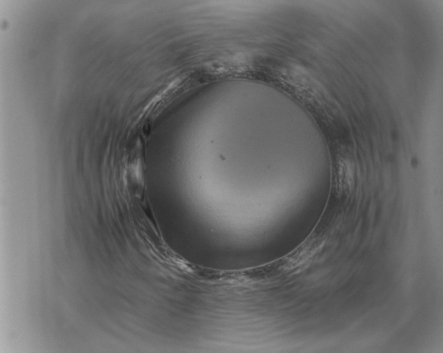 X0000071861250200607141806