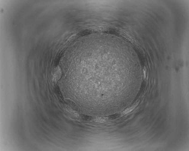 X0000071861251200607141806