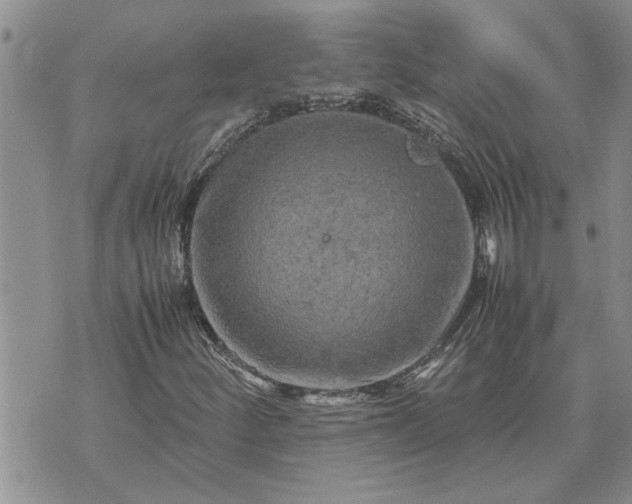 X0000071861252200607141806