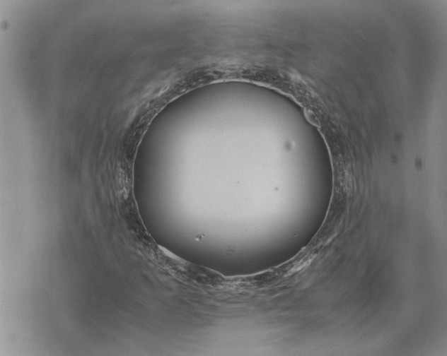 X0000071861253200607141806