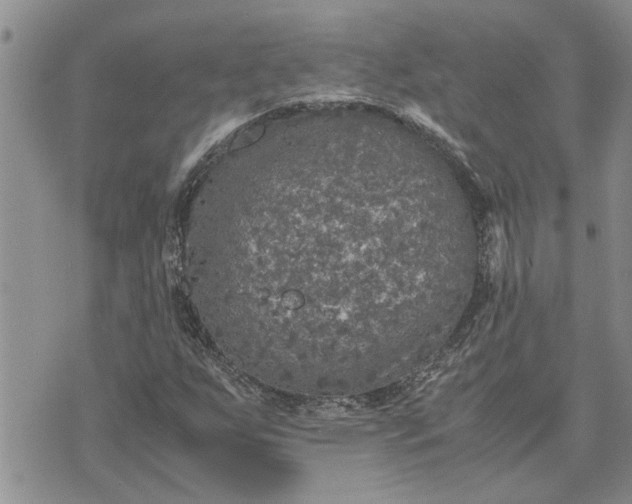 X0000071861255200607141806