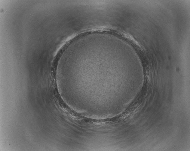 X0000071861256200607141806