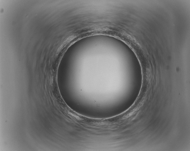 X0000071861257200607141806