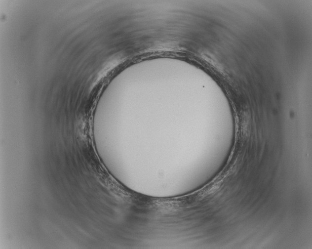 X0000071861258200607141806