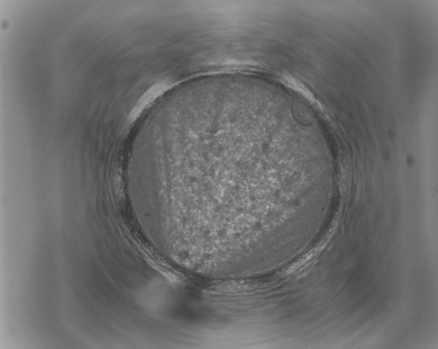 X0000071861259200607141806