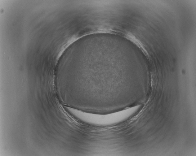 X0000071861260200607141806