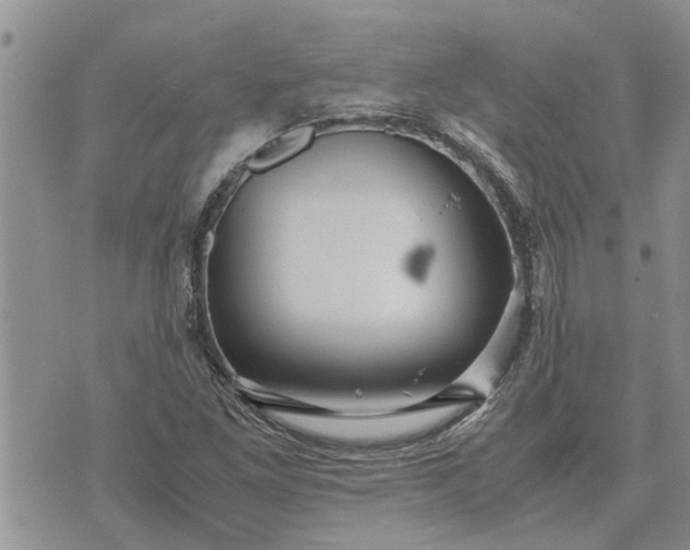 X0000071861261200607141806