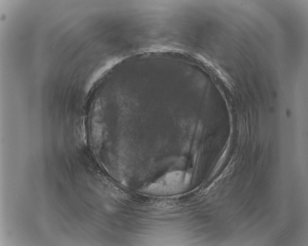 X0000071861262200607141806