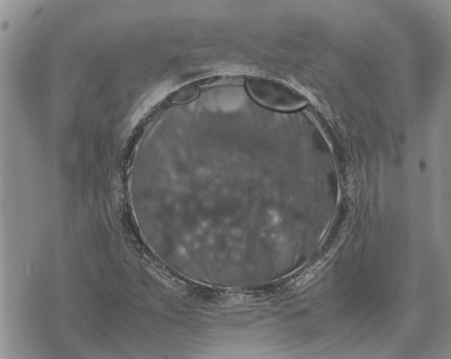 X0000071861263200607141806