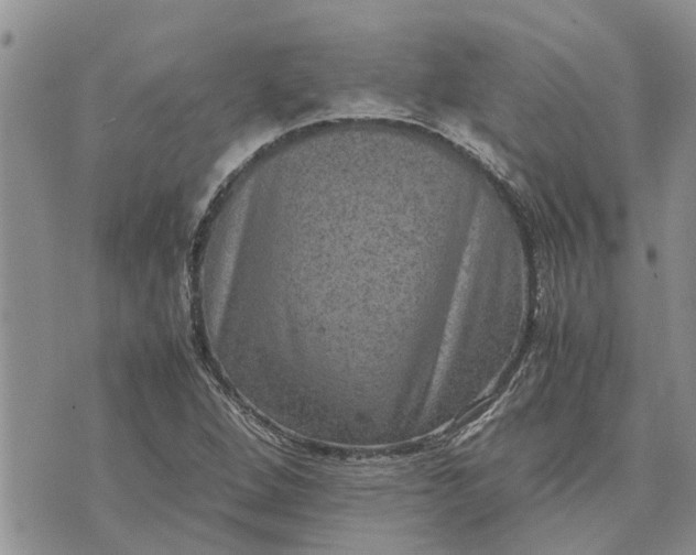 X0000071861264200607141806