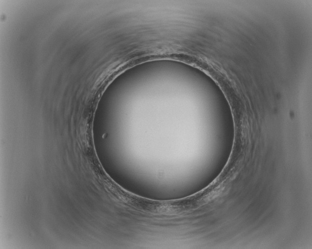 X0000071861265200607141806