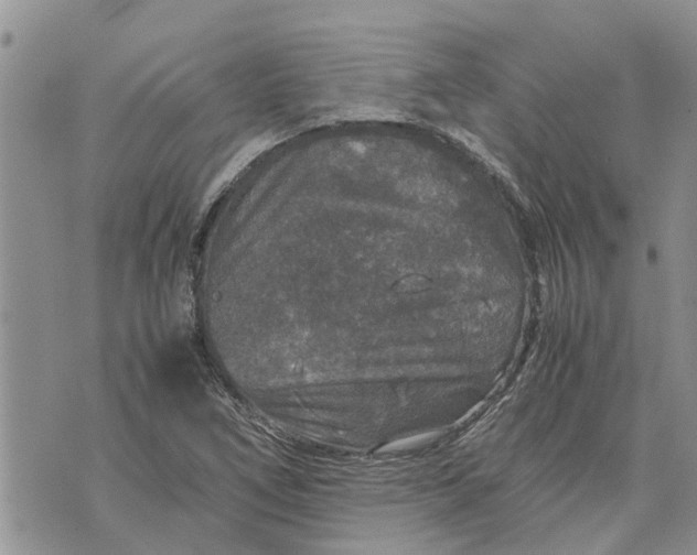 X0000071861266200607141806