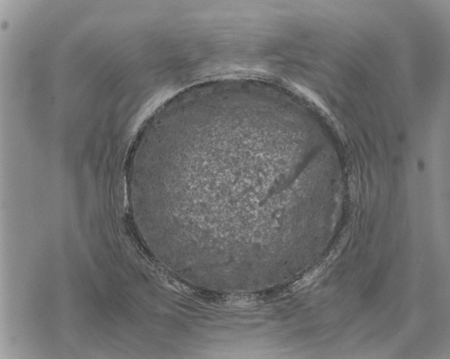 X0000071861267200607141806