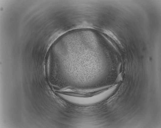 X0000071861268200607141806