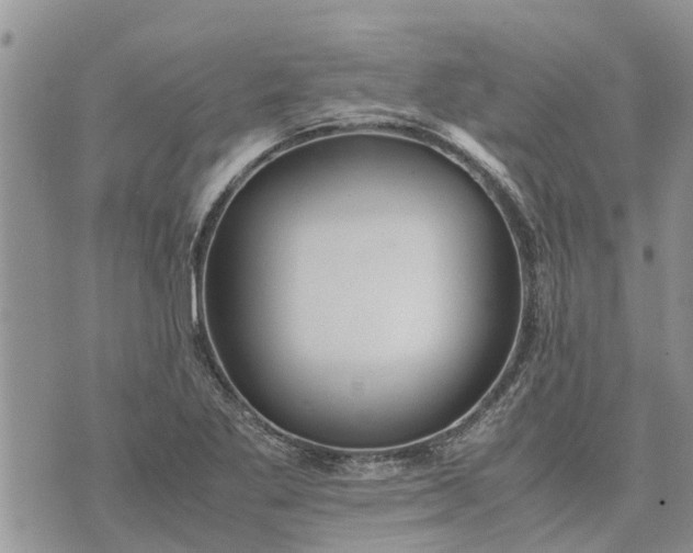 X0000071861269200607141806