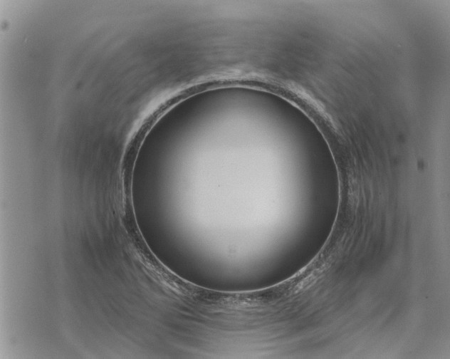 X0000071861270200607141806