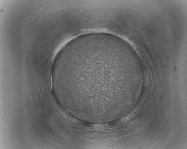 X0000071861271200607141806