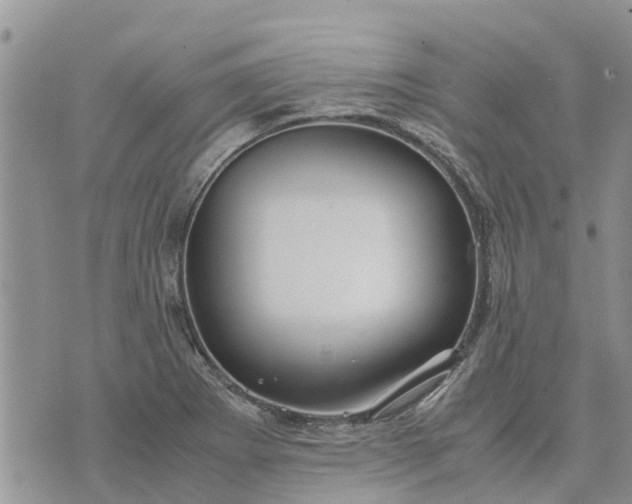 X0000071861273200607141806