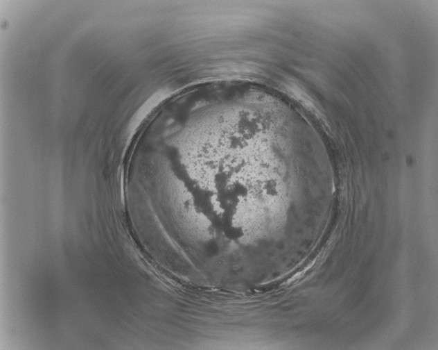 X0000071861275200607141806