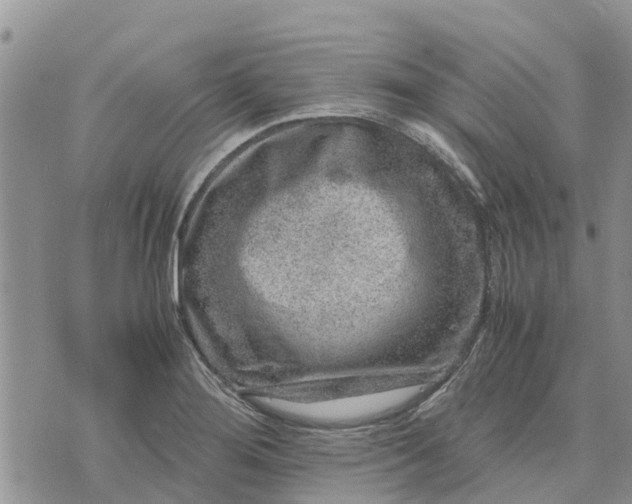 X0000071861276200607141806