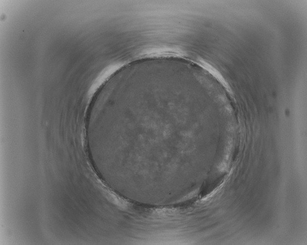 X0000071861277200607141806