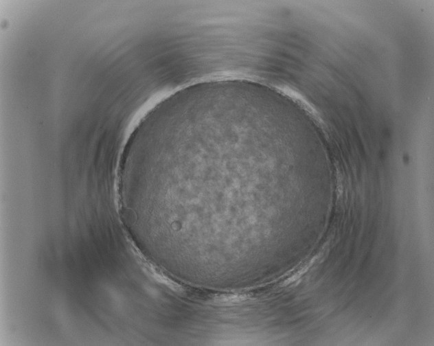 X0000071861278200607141806