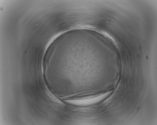 X0000071861280200607141806