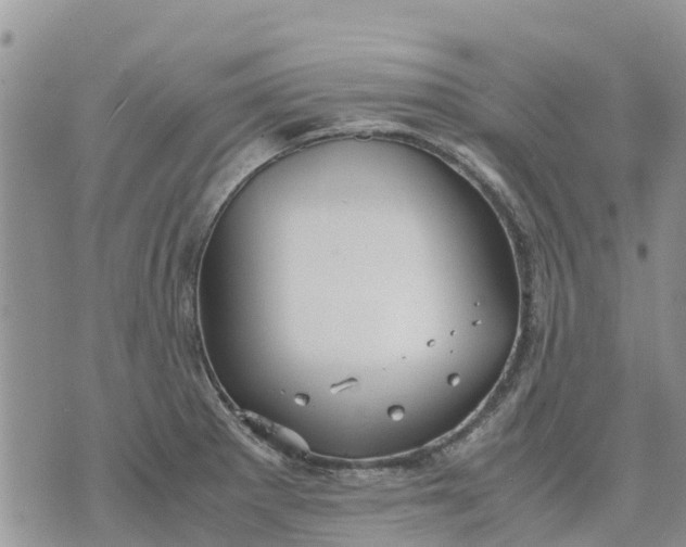 X0000071861281200607141806